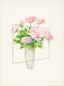 Image gallery image